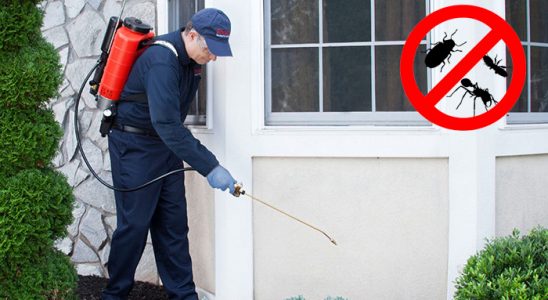 Germiyan Gümüşkurt İlaçlama böcek ilaçlama ve haşere kontrolü — ilaclama-tr.com